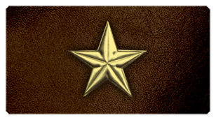 DSC700 430 GD BR Star Gold Brown